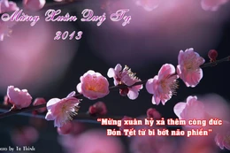 Làm thiệp chúc Tết chư tôn đức